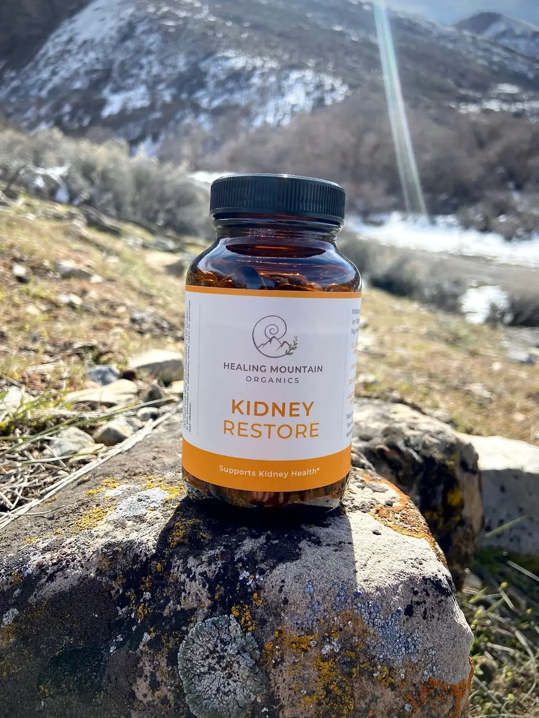 Kidney Restore Supplement