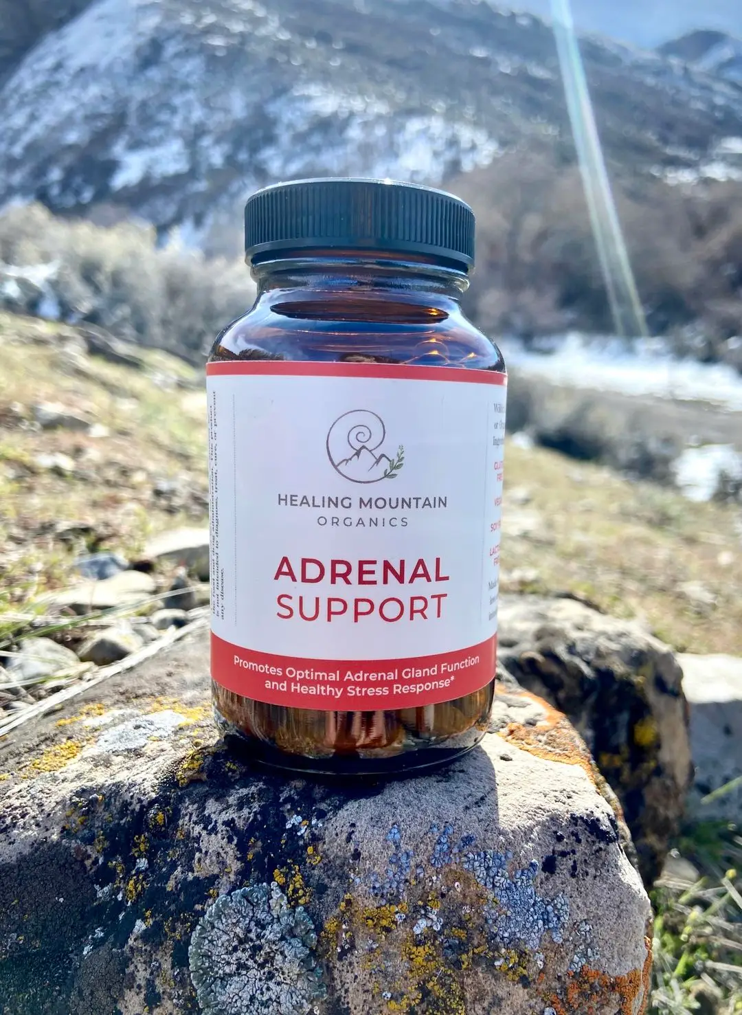 Adrenal Support