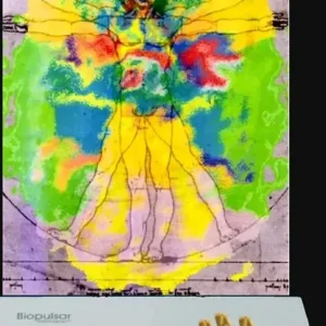 Chakra/Aura/Organ Scan